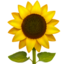 :sunflower: 🌻
