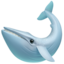 🐋 🐋