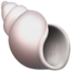 🐚 🐚