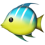 🐠 🐠