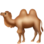🐫 🐫