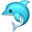 🐬 🐬
