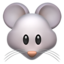 🐭 🐭