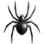 🕷 🕷