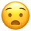 😧 😧