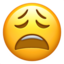 :weary: 😩