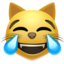 :joy_cat: 😹