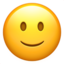 (: 🙂