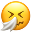 :sneezing_face: 🤧