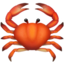 🦀 🦀