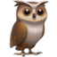 :owl: 🦉