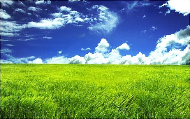 Spring-Grassland-2560x1600-desktopia.net.jpg