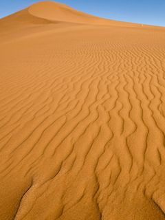 Sand Dune.jpg