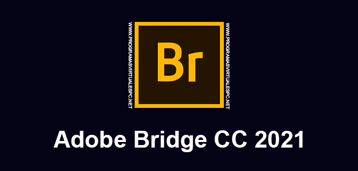 Adobe-Bridge-CC-2021-Full (1).png