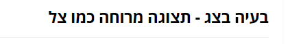 בעיה בצג.png