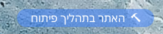 צילום מסך 2024-01-28 ב-9.41.51.png