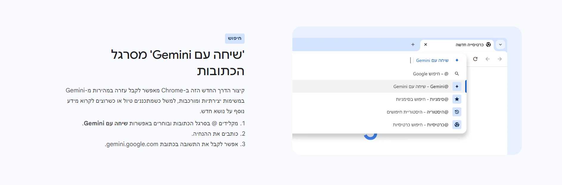 צילום מסך 2024-08-29 130004.png