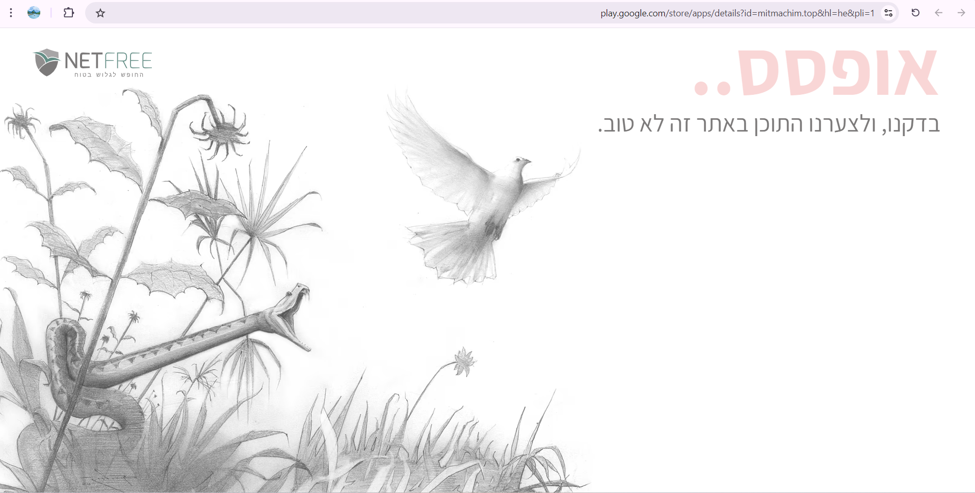 צילום מסך 2024-09-09 203014.png