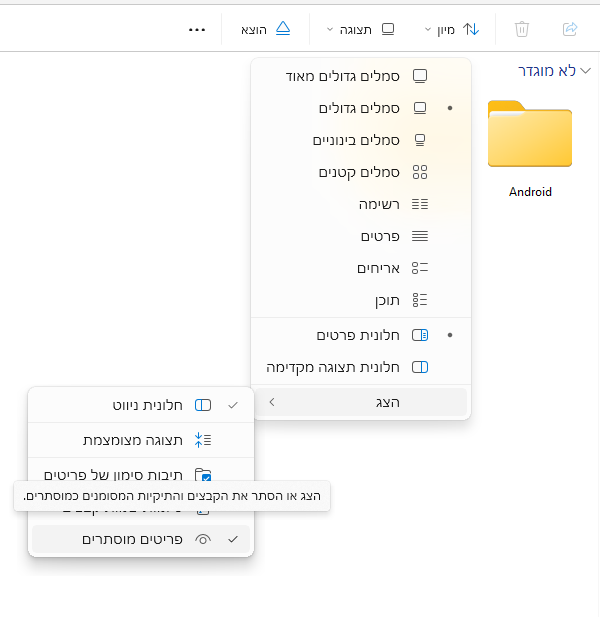 ניסיון להציג קבצים נסתרים.png