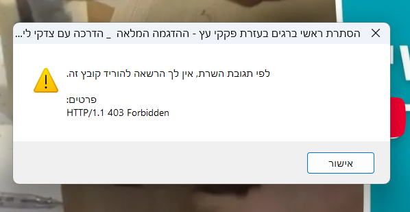 f17259ad-043a-433e-818a-1731dfdcb7b2-צילום מסך 2024-11-19 085247.png