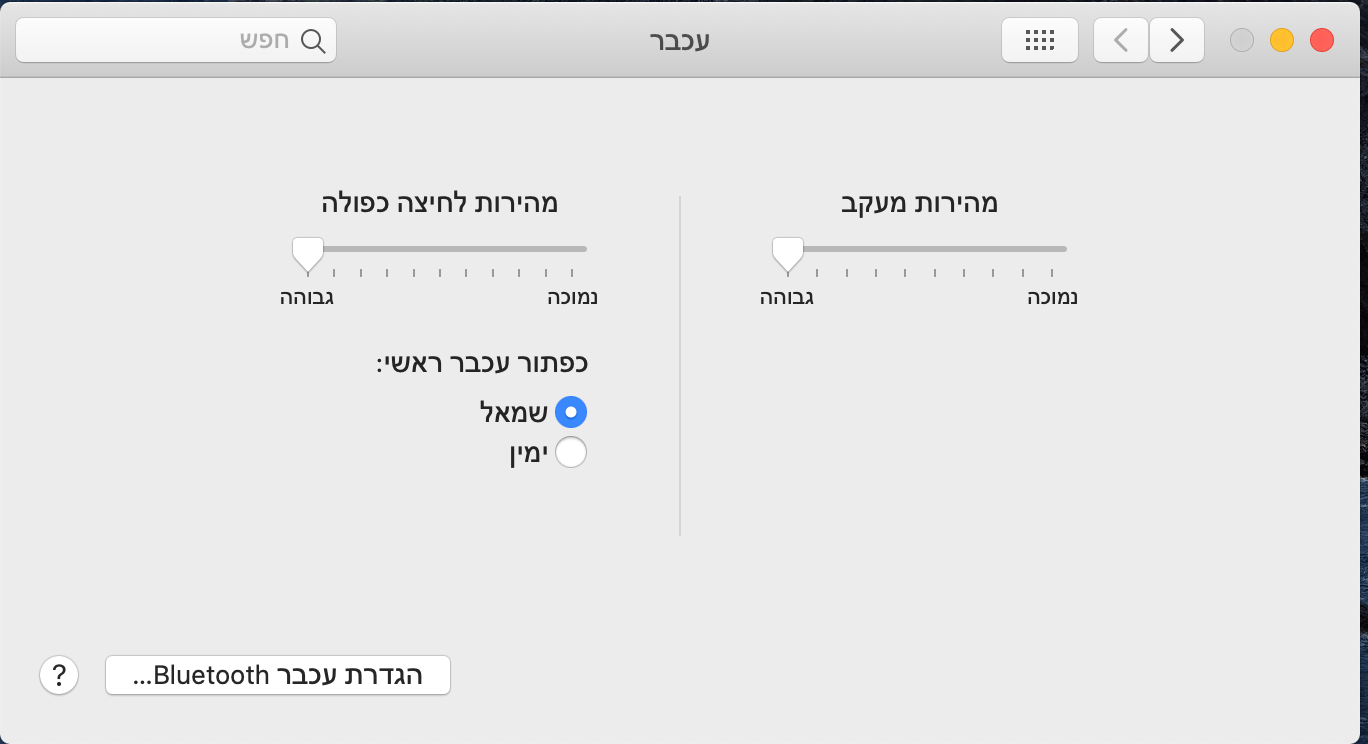 f200941f-d14f-42cf-870d-adf1405a9f78-צילום מסך 2025-02-20 ב-0.12.37.png