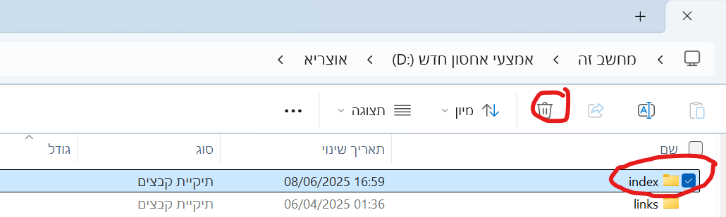 צילום מסך 2025-06-08 235549.png