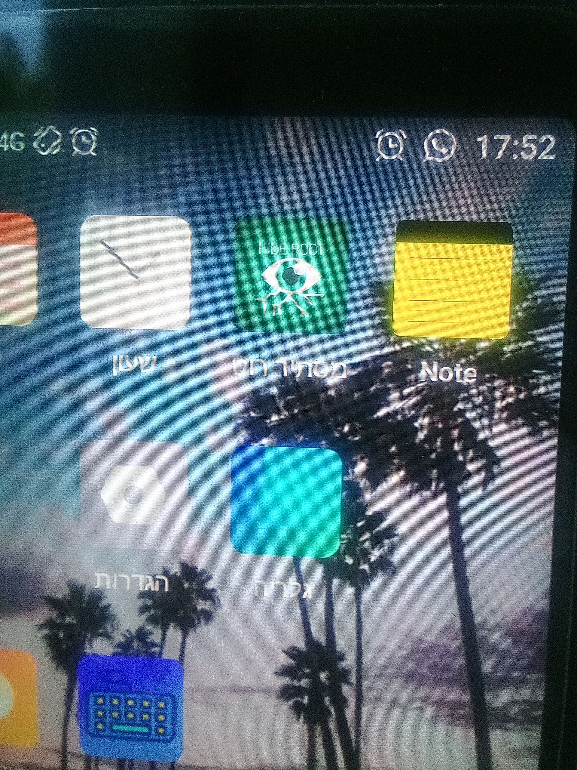 1000008986.jpg