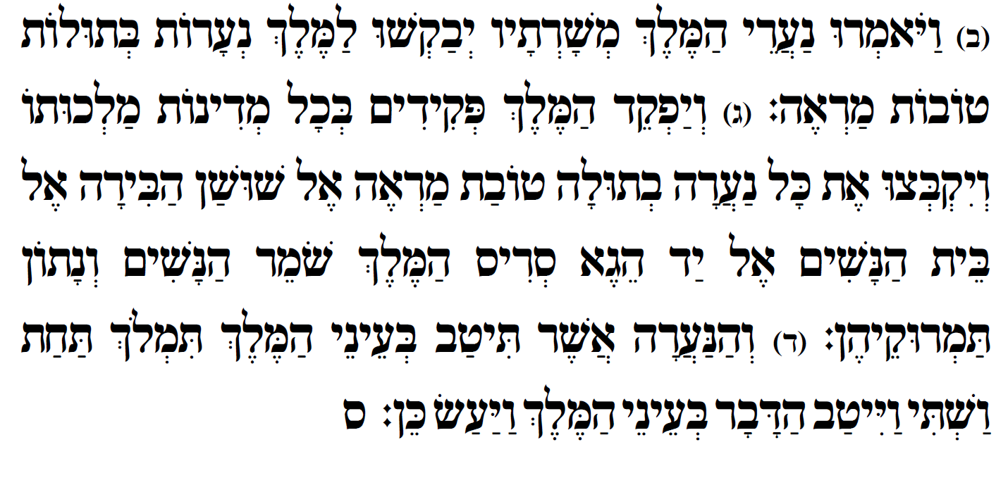 41abd873-1190-4fc1-8848-8b973351dbd4-image.png