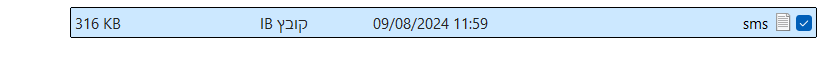 צילום מסך 2025-08-03 154907.png