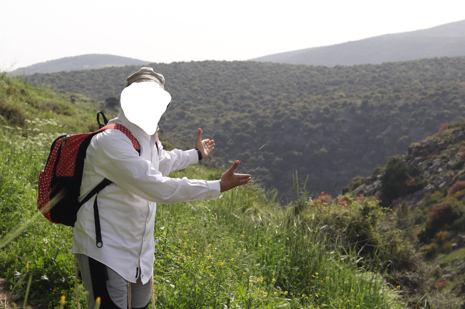 צילום מסך 2025-07-31 140021.png