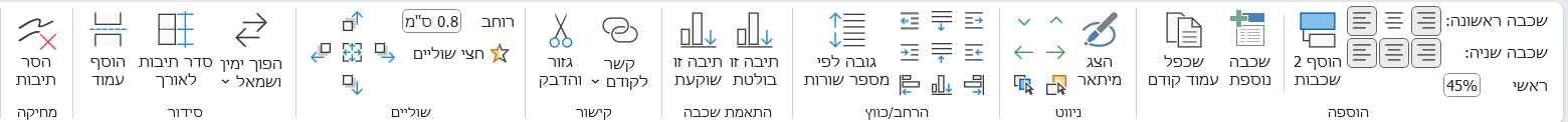 צילום מסך 2025-08-05 153551.png