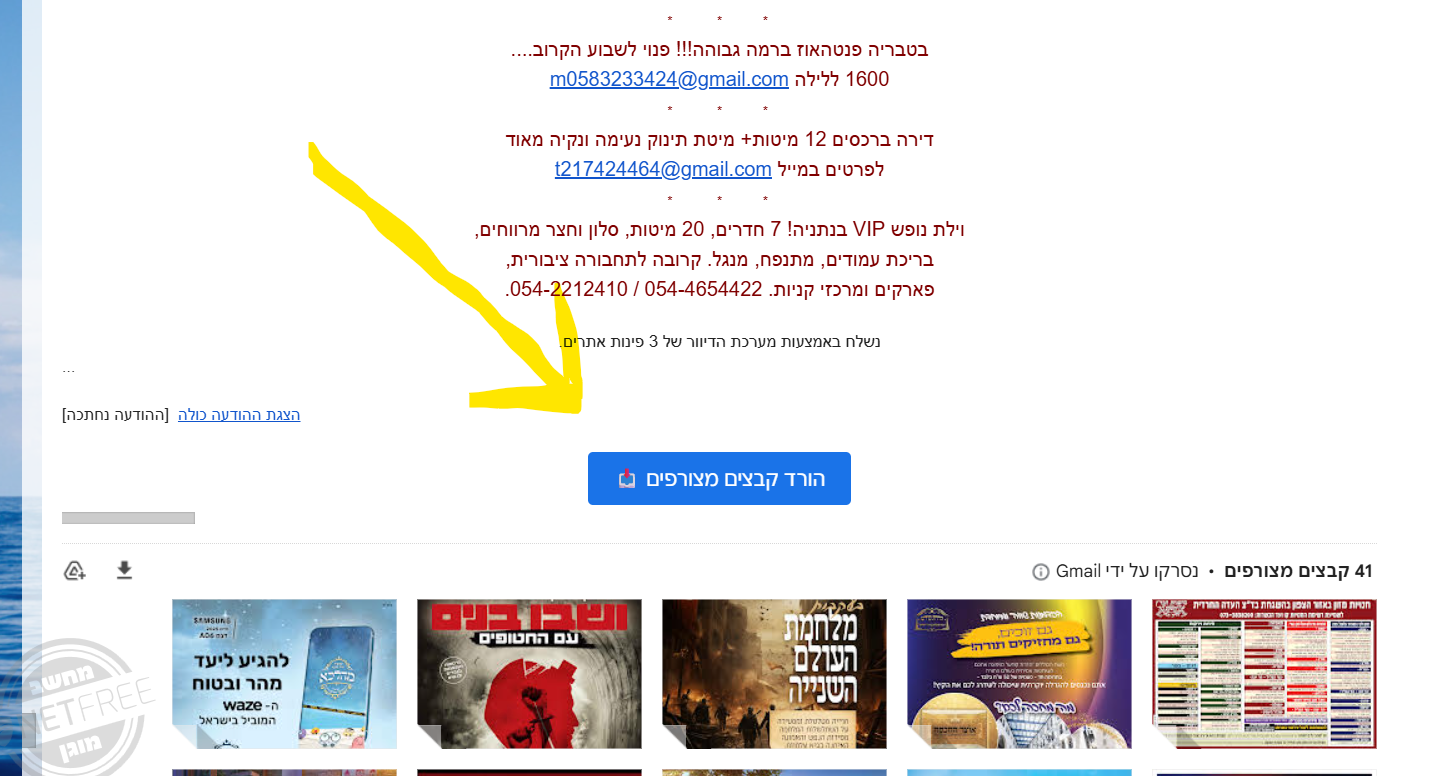 צילום מסך 2025-08-05 183108.png