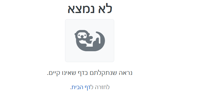 צילום מסך 2025-08-11 021021.png
