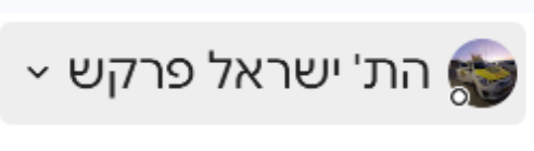 צילום מסך 2025-08-20 121357.png
