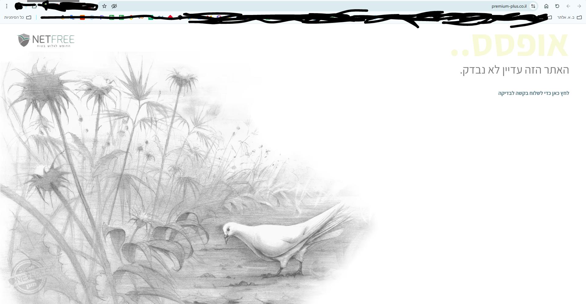 79253d9b-968a-4989-83ad-7e2a5b688852-image.png