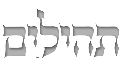 צילום מסך 2025-09-17 222808.png