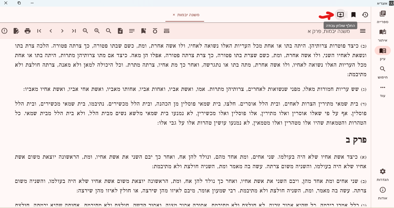לא_מוצג_שם_שולחן_העבודה_-_גם_בריחוף[1].png