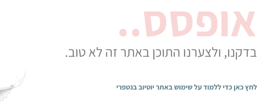 5b19bcbc-d42a-4ef8-b023-74d41c5fcf4a-image.png