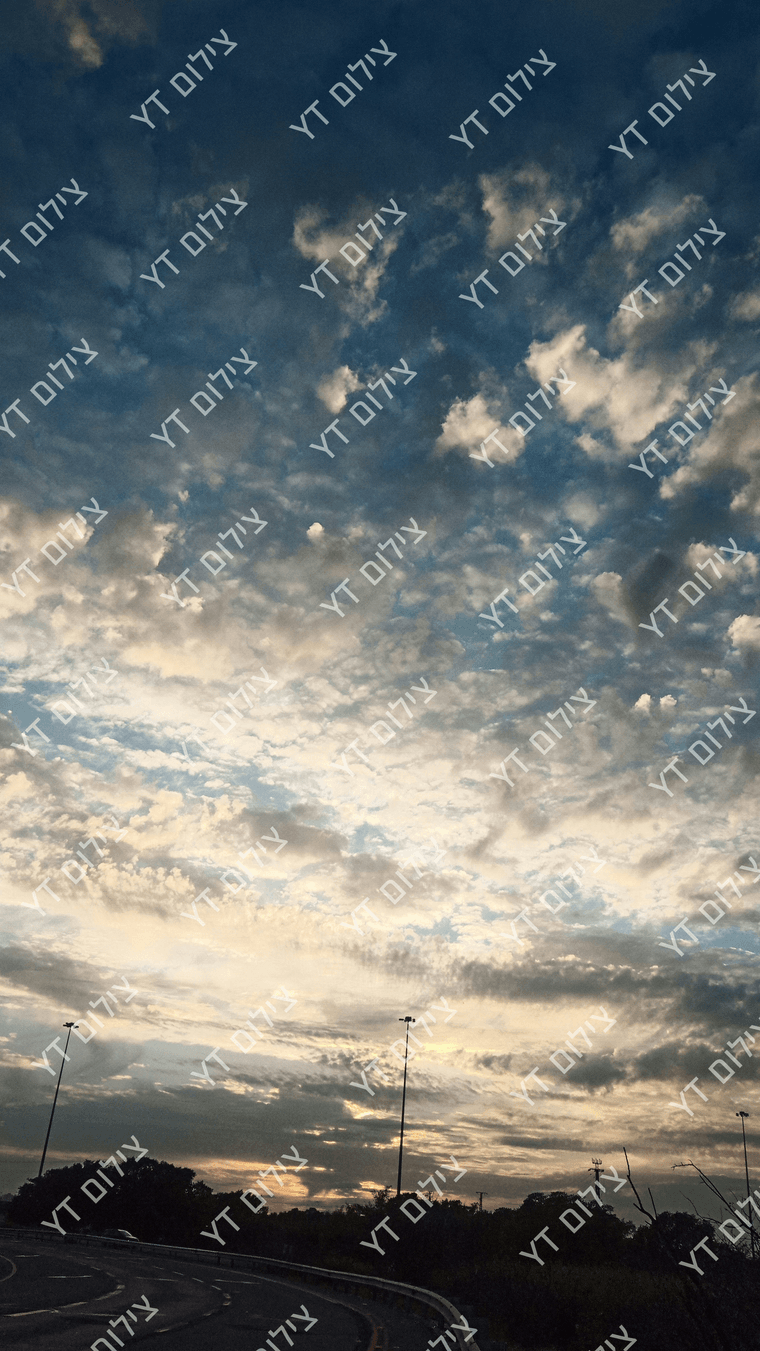 IMG_20250309_172719_015.jpg_1.png