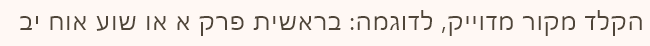 צילום מסך 2025-10-26 002417.png