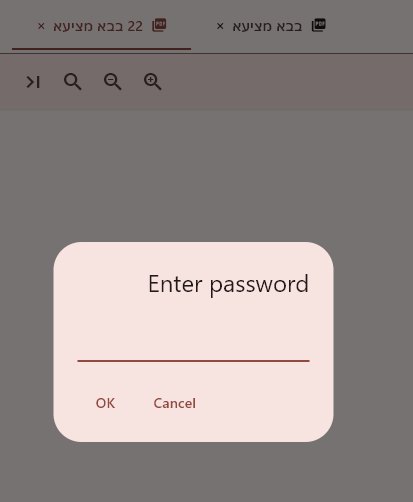 מבקש סיסמה בעת פתיחת קבצי PDF כבדים.png