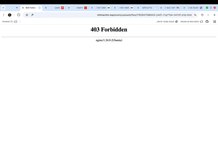 צילום מסך 2025-11-09 ב-2.26.26.png