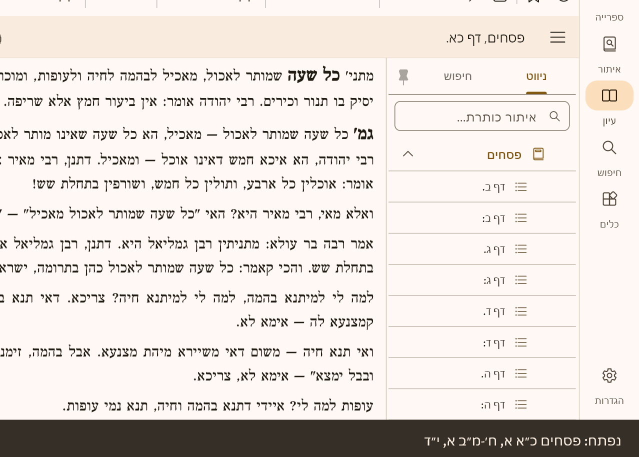 c41535be-11cd-471a-ac06-15c4009a9e01-צילום מסך 2025-11-19 205843.png