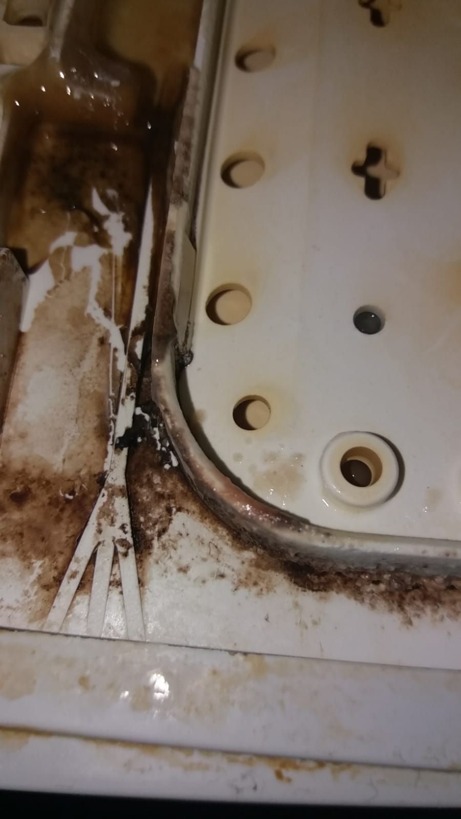 6b92c3ff-2c15-4b34-b715-8b33c93a87b2-תמונה של WhatsApp‏ 2025-12-04 בשעה 23.01.25_5b6fbcf3.jpg