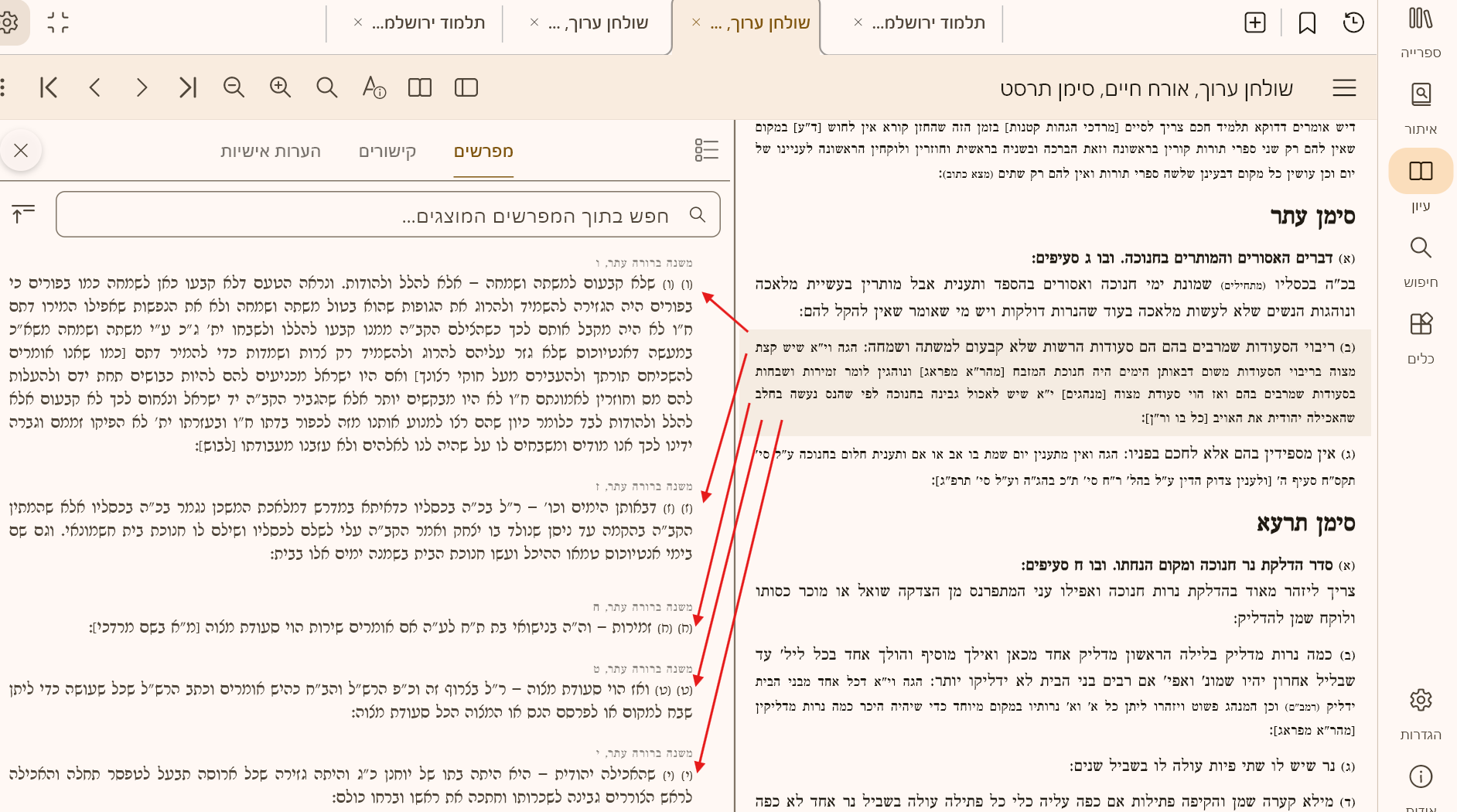 8777921f-0ee1-4165-b1a9-001b03561804-צילום מסך 2025-12-10 142255.png