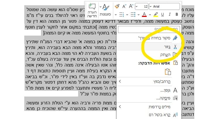 ‏‏צילום מסך (7)_LI.jpg