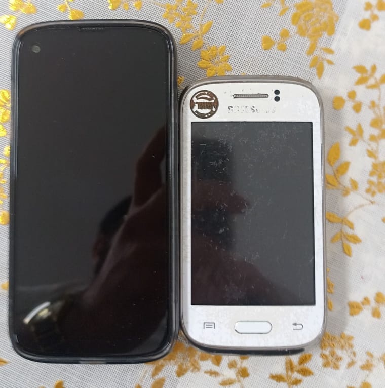 ג'לי מול יאנג.jpg