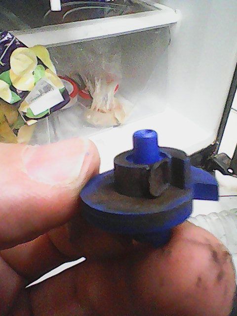 774 בתוך טיימר (2).jpg