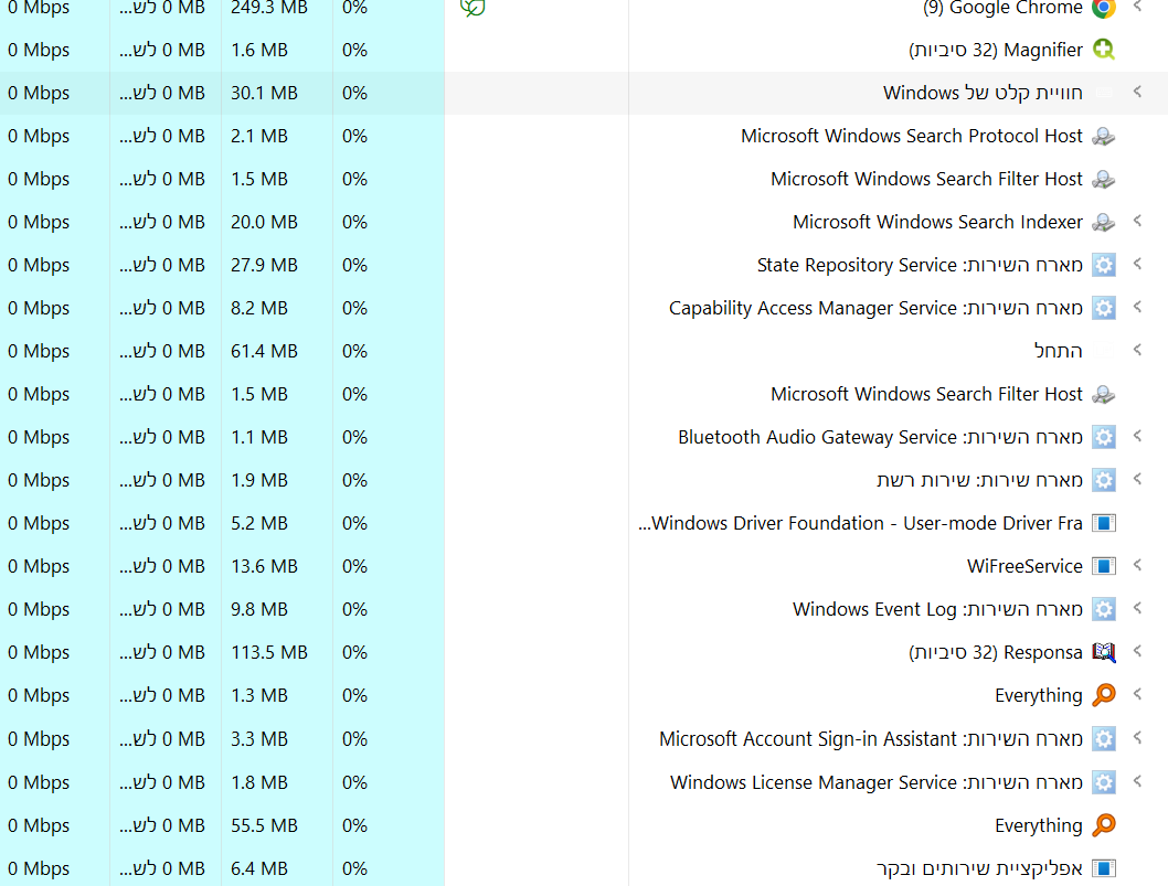 מנהל המשימות 2.png