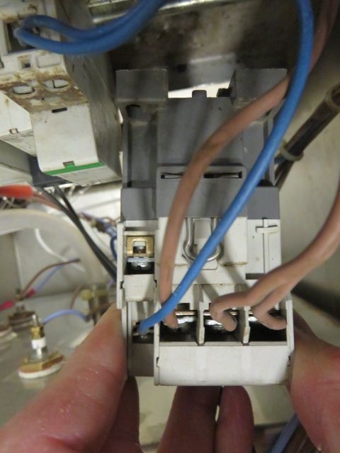 קנוטקטור (2).JPG